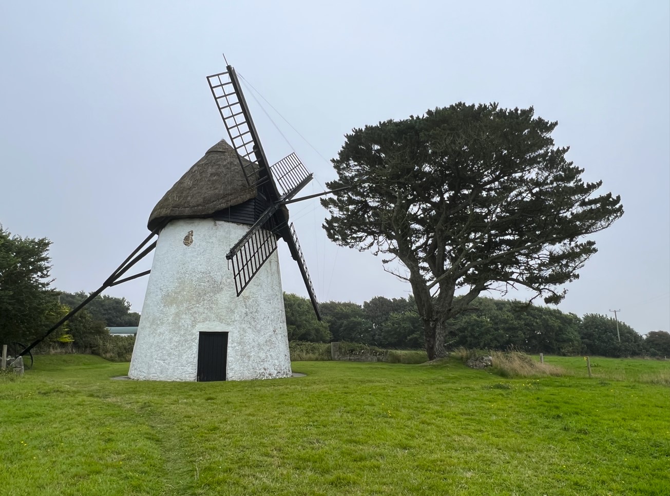 One day trip to County Wexford, Ireland